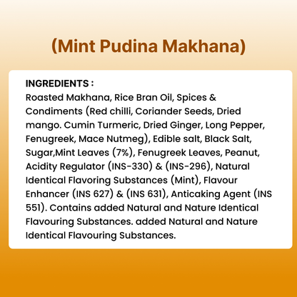 Mint pudina makhana (100g)